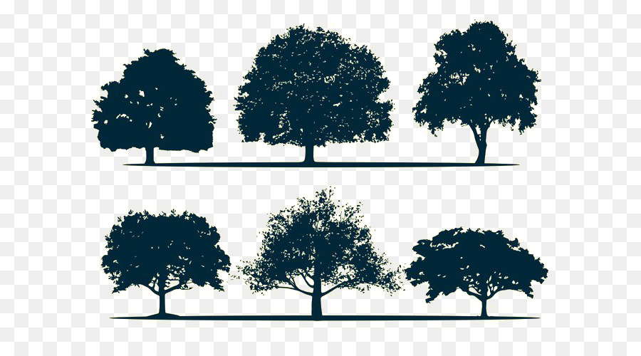 Silhouette Oak Tree - Tree Silhouette png download - 700*490 - Free Transparent Silhouette png Download.