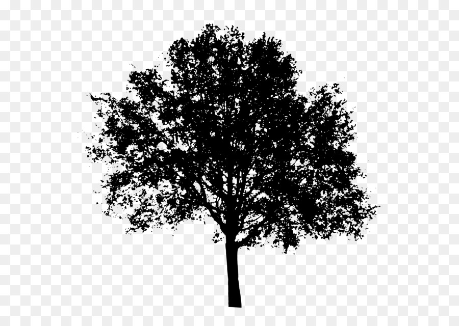 Tree Silhouette Clip art - tree vector png download - 2400*1703 - Free Transparent Tree png Download.