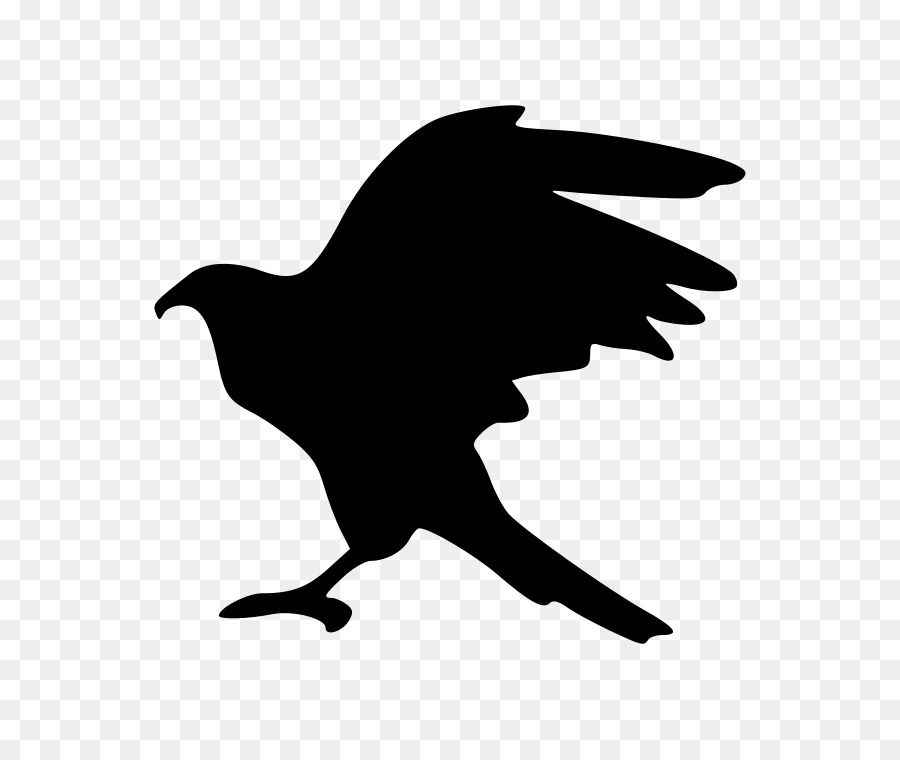 Bird Hawk Silhouette Clip art - Bird png download - 800*749 - Free Transparent Bird png Download.