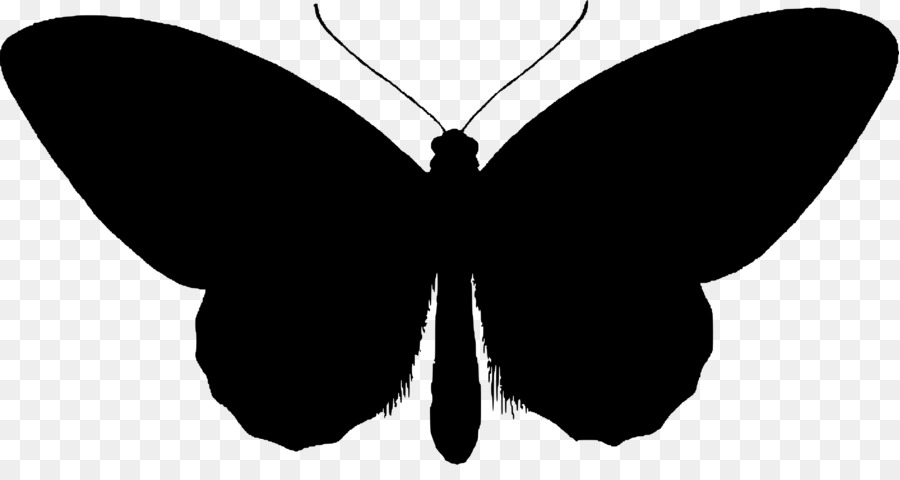 Butterfly Silhouette Clip art - Butterfly Silhouette png download - 2400*1241 - Free Transparent Butterfly png Download.