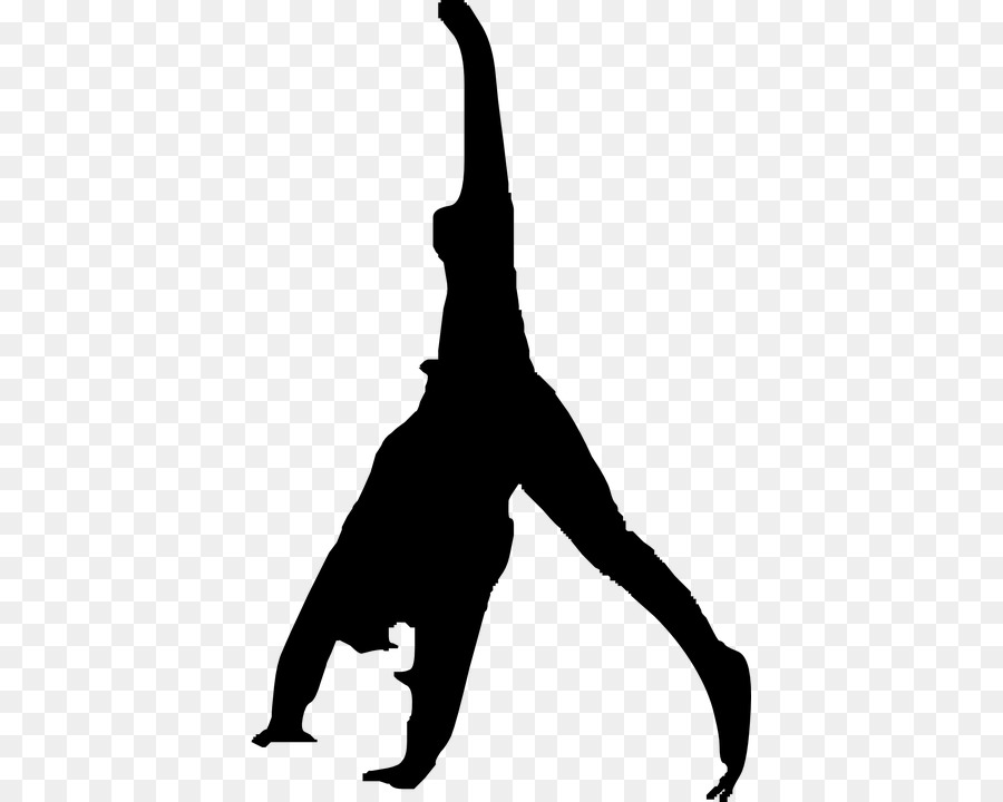 Flip Gymnastics Clip art - gymnastics png download - 449*720 - Free Transparent Flip png Download.