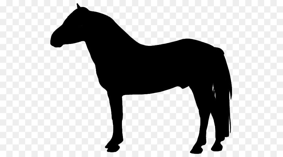 Horse Silhouette Clip art - horse png download - 607*494 - Free Transparent Horse png Download.