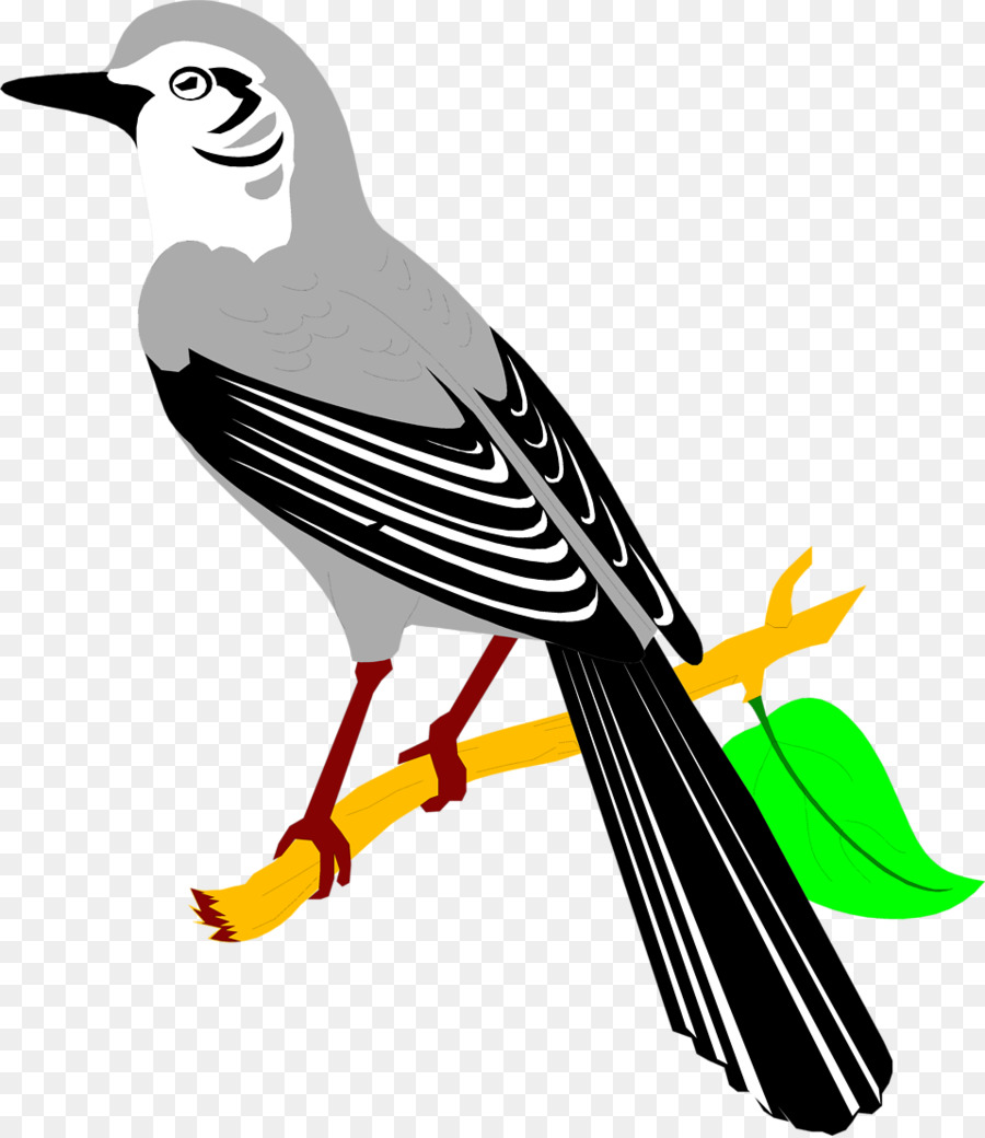 Northern mockingbird Clip art - Bird png download - 958*1105 - Free Transparent Mockingbird png Download.
