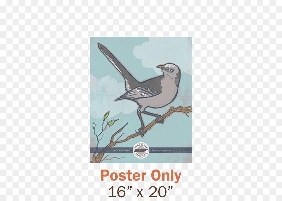 Northern mockingbird Tennessee Texas State bird - juice posters png download - 600*629 - Free Transparent Bird png Download.