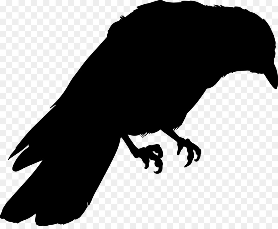 Common raven Drawing Silhouette Art - raven png download - 1280*1039 - Free Transparent  png Download.