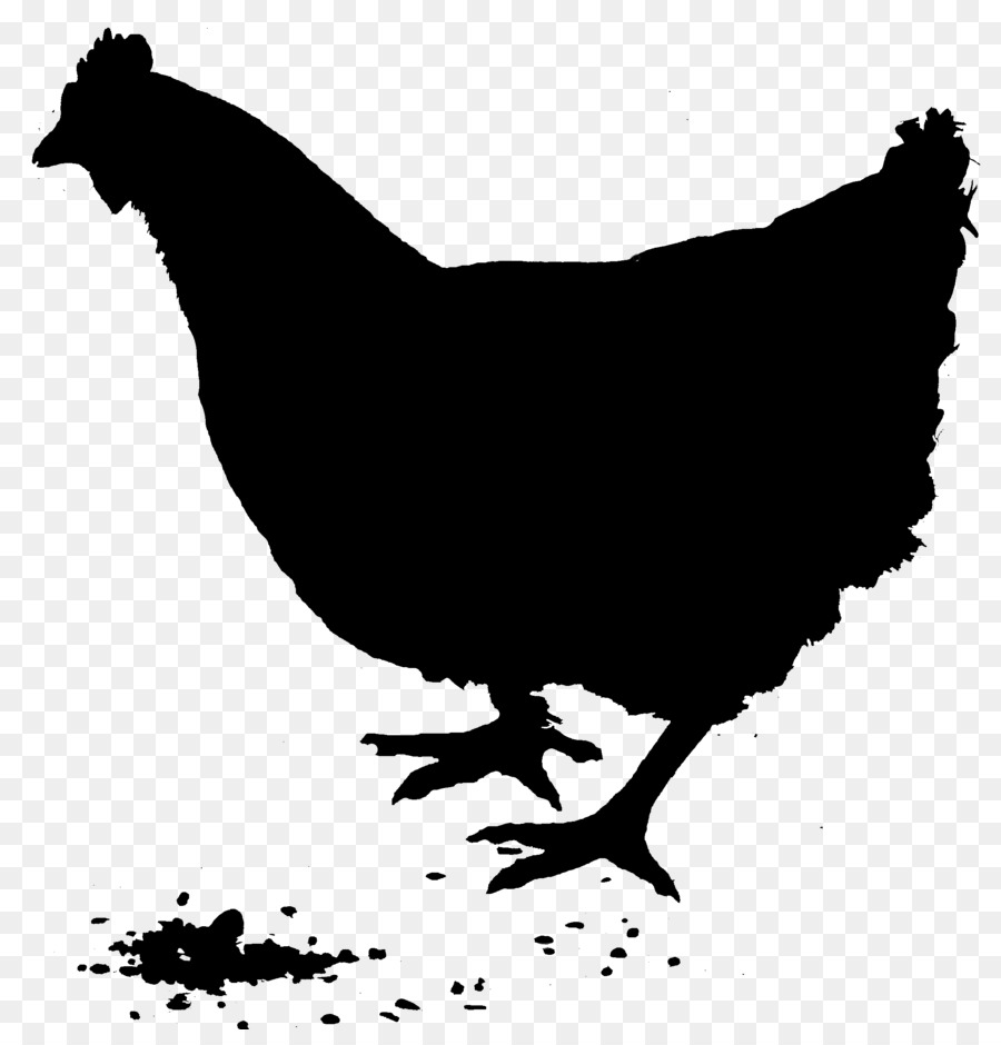 Rooster Silhouette Vector graphics Chicken as food Rhode Island Red -  png download - 2250*2316 - Free Transparent Rooster png Download.