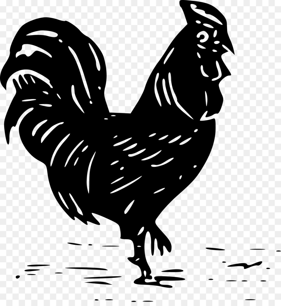 Cochin chicken Rooster Silhouette Clip art - hen png download - 2234*2400 - Free Transparent Cochin Chicken png Download.