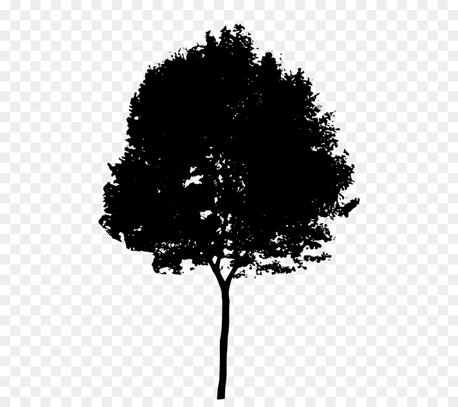 Silhouette Tree Clip art - silhouette of tree png download - 568*800 - Free Transparent Silhouette png Download.