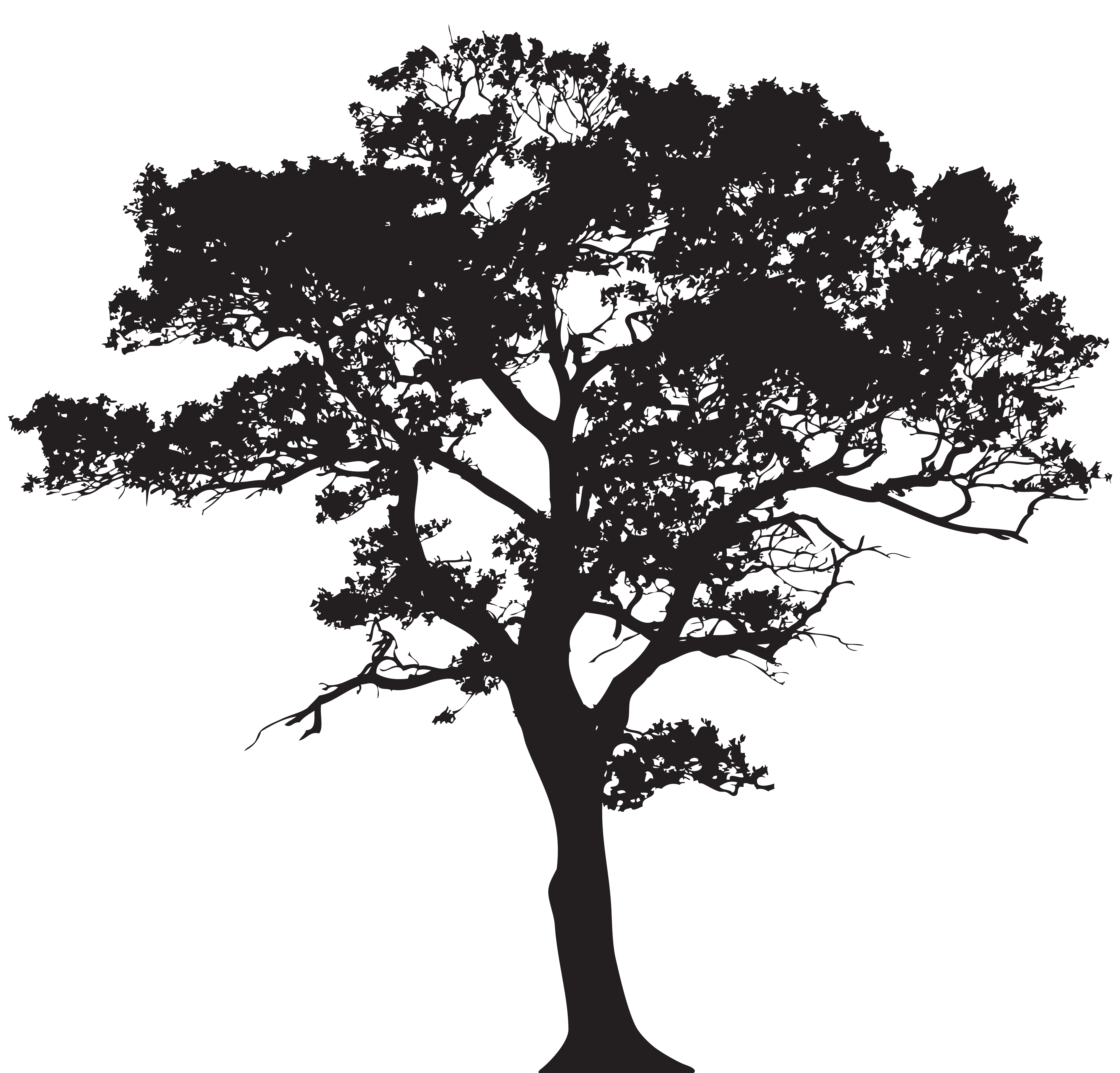 Tree Silhouette Illustration Tree Silhouette Png Clip Art Image Png Porn Sex Picture