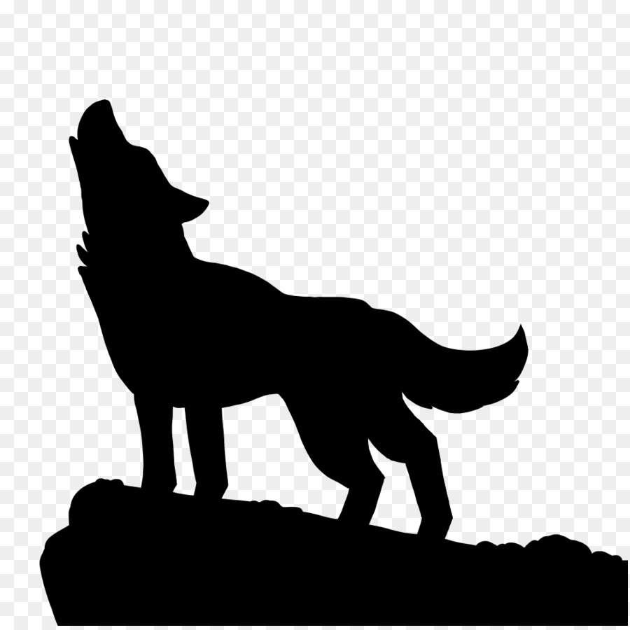 Gray wolf Silhouette Drawing Clip art - silhouettes png download - 894*894 - Free Transparent Gray Wolf png Download.