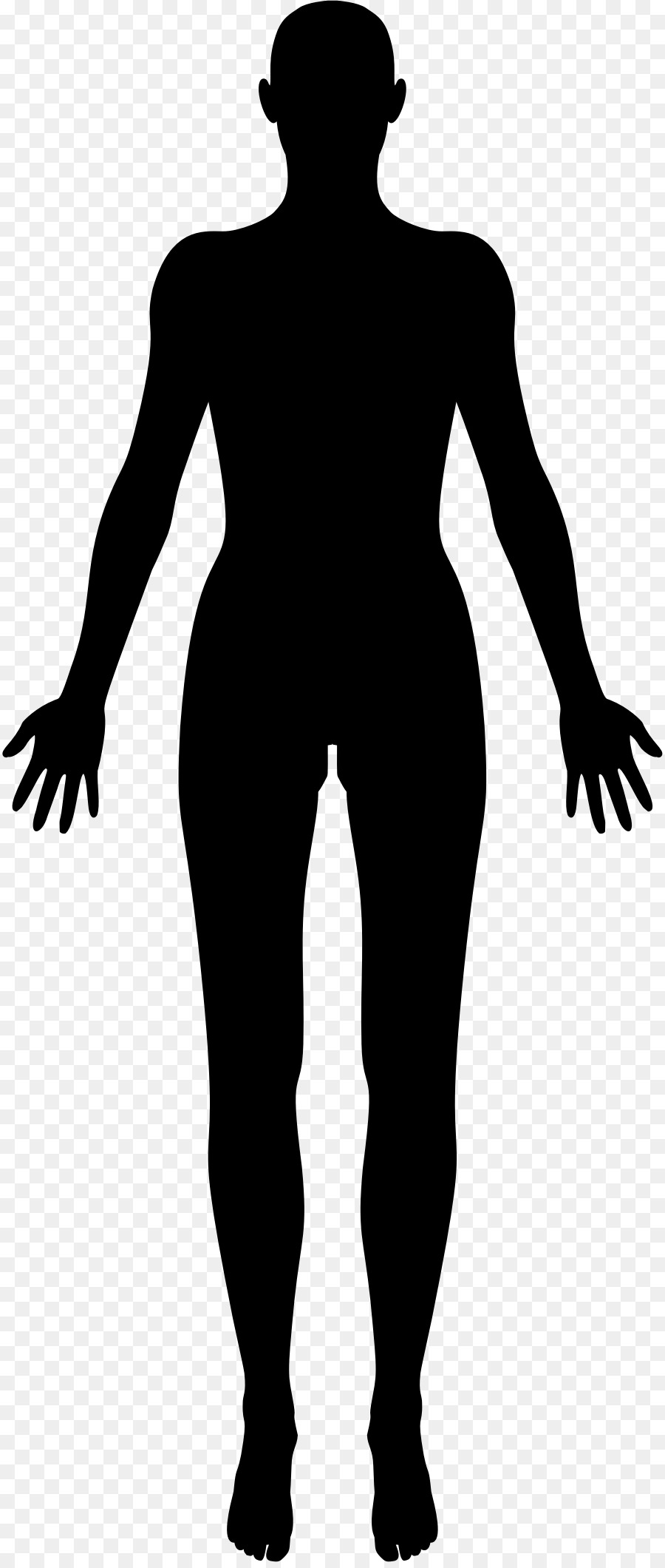 Female body shape Human body Silhouette Clip art - female png download - 894*2112 - Free Transparent  png Download.