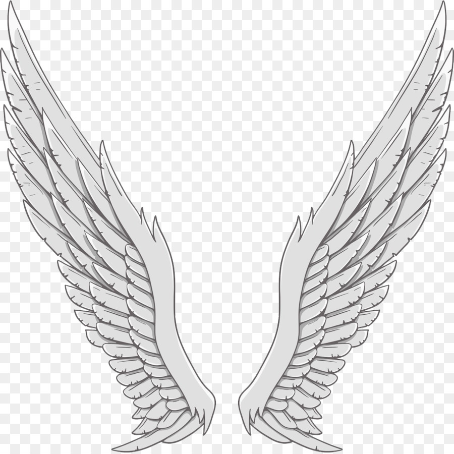 Angel wing White - Silver angel wings png download - 1024*1021 - Free Transparent Wing png Download.