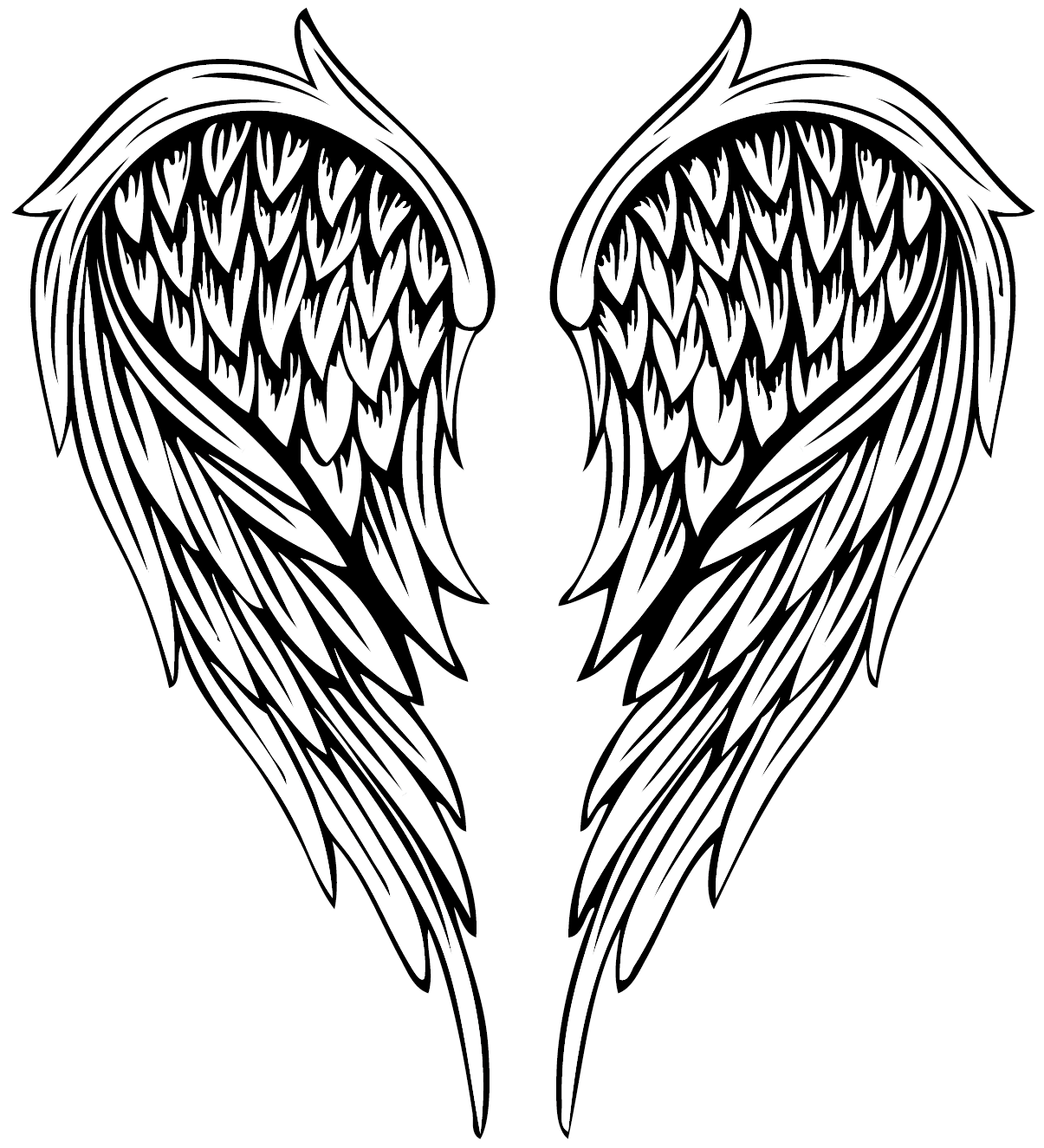 Drawing Illustration Vector painted feather angel wings