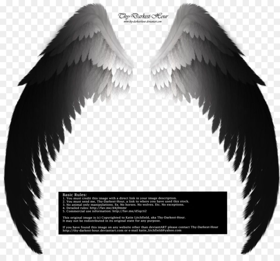 Archangel Drawing Fallen angel - angel wings png download - 936*854 - Free Transparent Angel png Download.