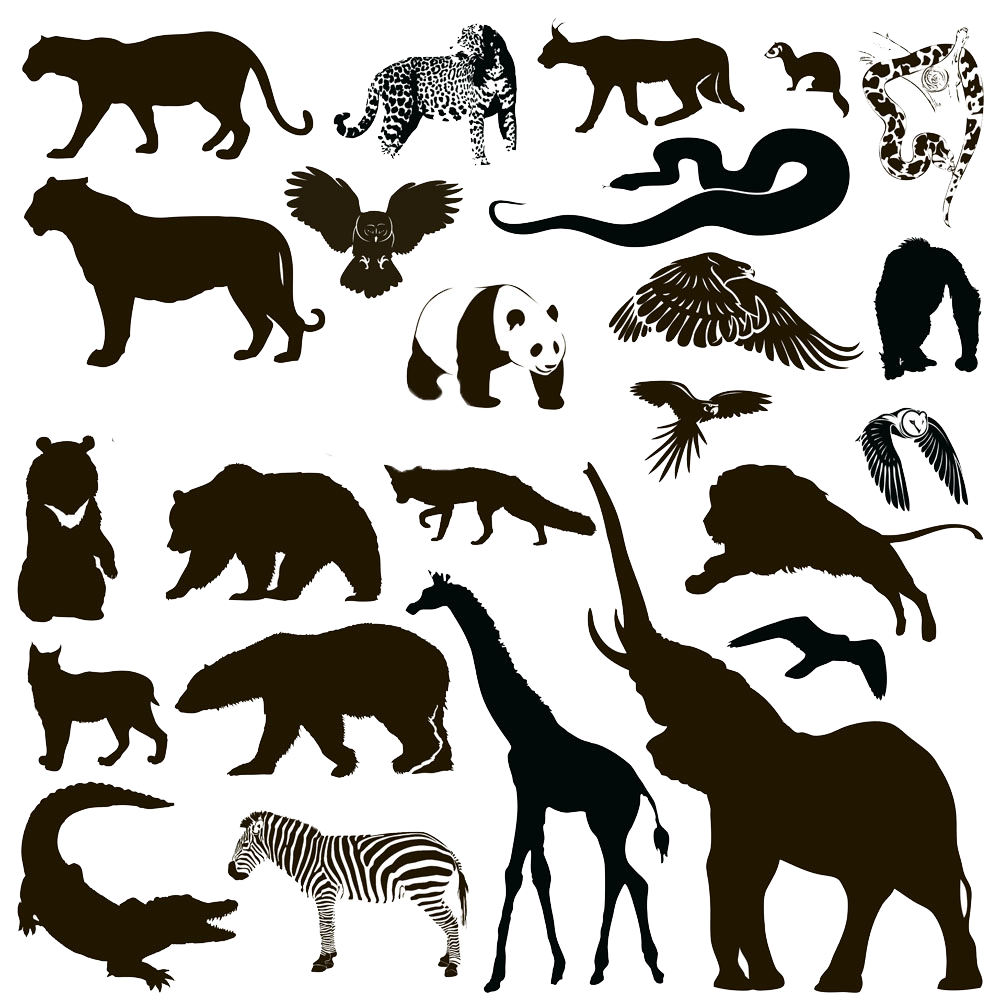 Silhouette Animal Wildlife - Animal Silhouettes png download - 1000*