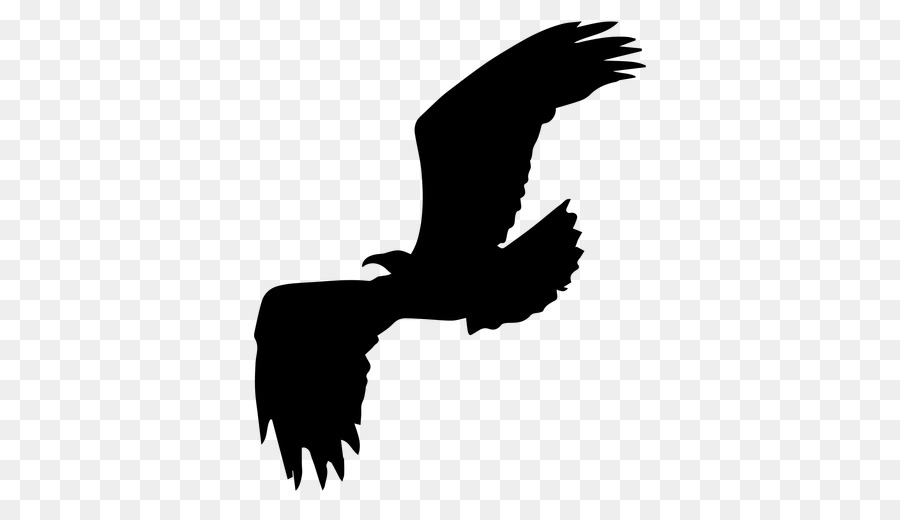 Bald Eagle Silhouette Bird Clip art - Silhouette png download - 512*512 - Free Transparent Bald Eagle png Download.