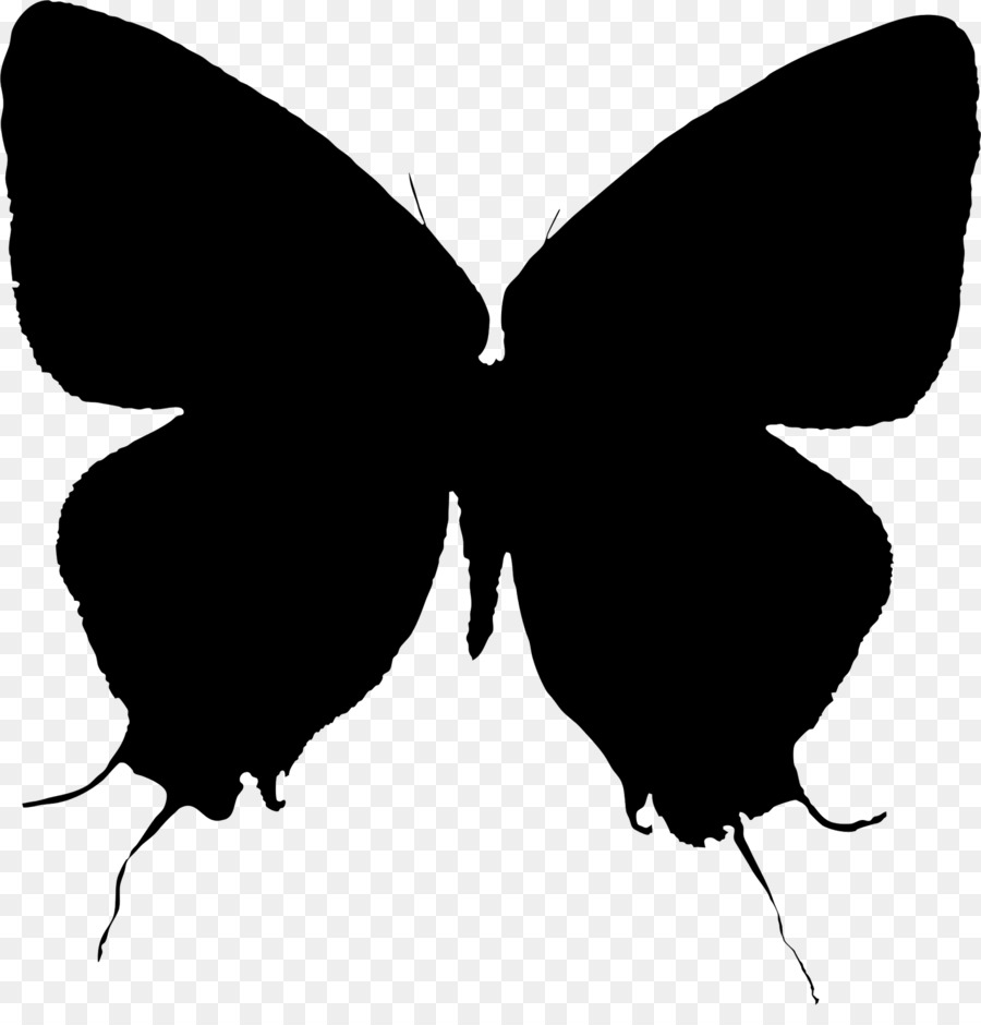 Brush-footed butterflies Moth Clip art Silhouette M. Butterfly -  png download - 1561*1600 - Free Transparent Brushfooted Butterflies png Download.
