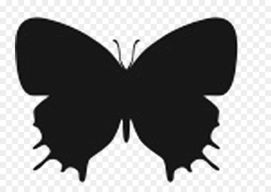 Butterfly Insect Silhouette Stencil - butterfly png download - 799*630 - Free Transparent Butterfly png Download.