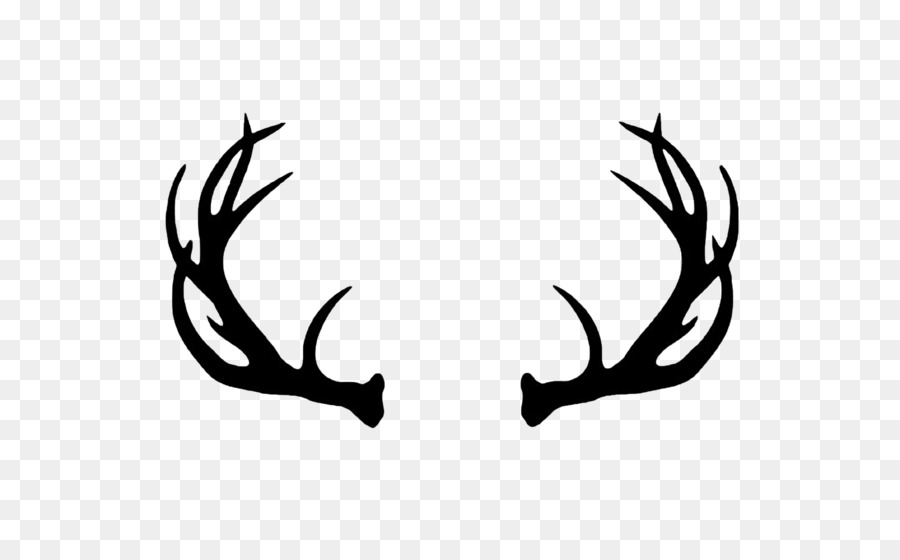 Reindeer White-tailed deer Moose Elk - deer head png download - 1600*970 - Free Transparent Deer png Download.