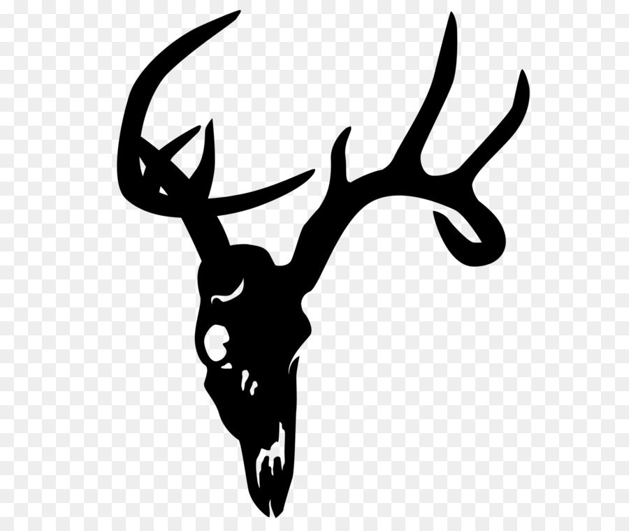 White-tailed deer Elk Skull Clip art - deer head png download - 2048*1721 - Free Transparent Deer png Download.