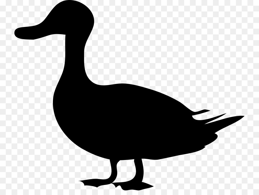 Duck Mallard Goose Silhouette Clip art - duck png download - 800*664 - Free Transparent Duck png Download.