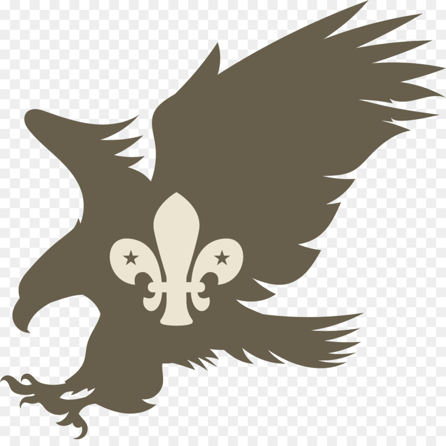Scalable Vector Graphics Silhouette Clip art - Eagle silhouette png download - 1001*987 - Free Transparent Scalable Vector Graphics png Download.