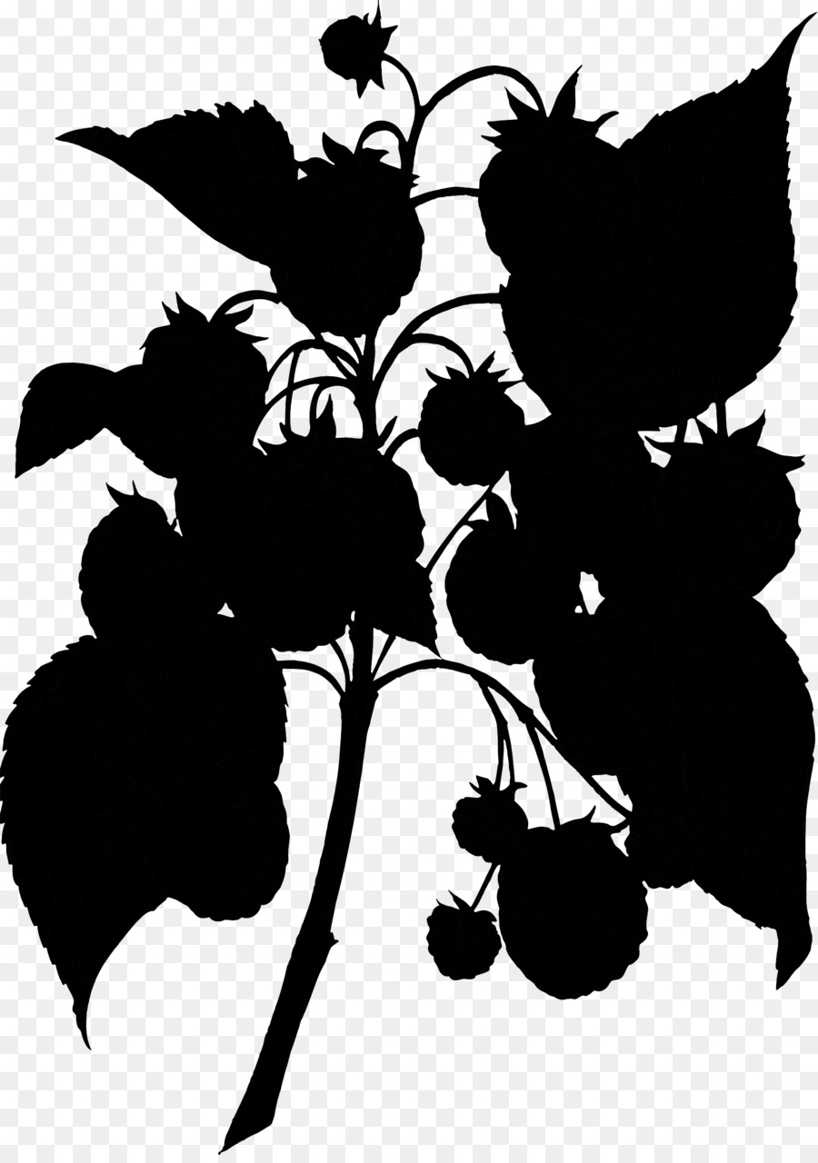 Grape Clip art Silhouette Pattern Flower -  png download - 1699*2400 - Free Transparent Grape png Download.