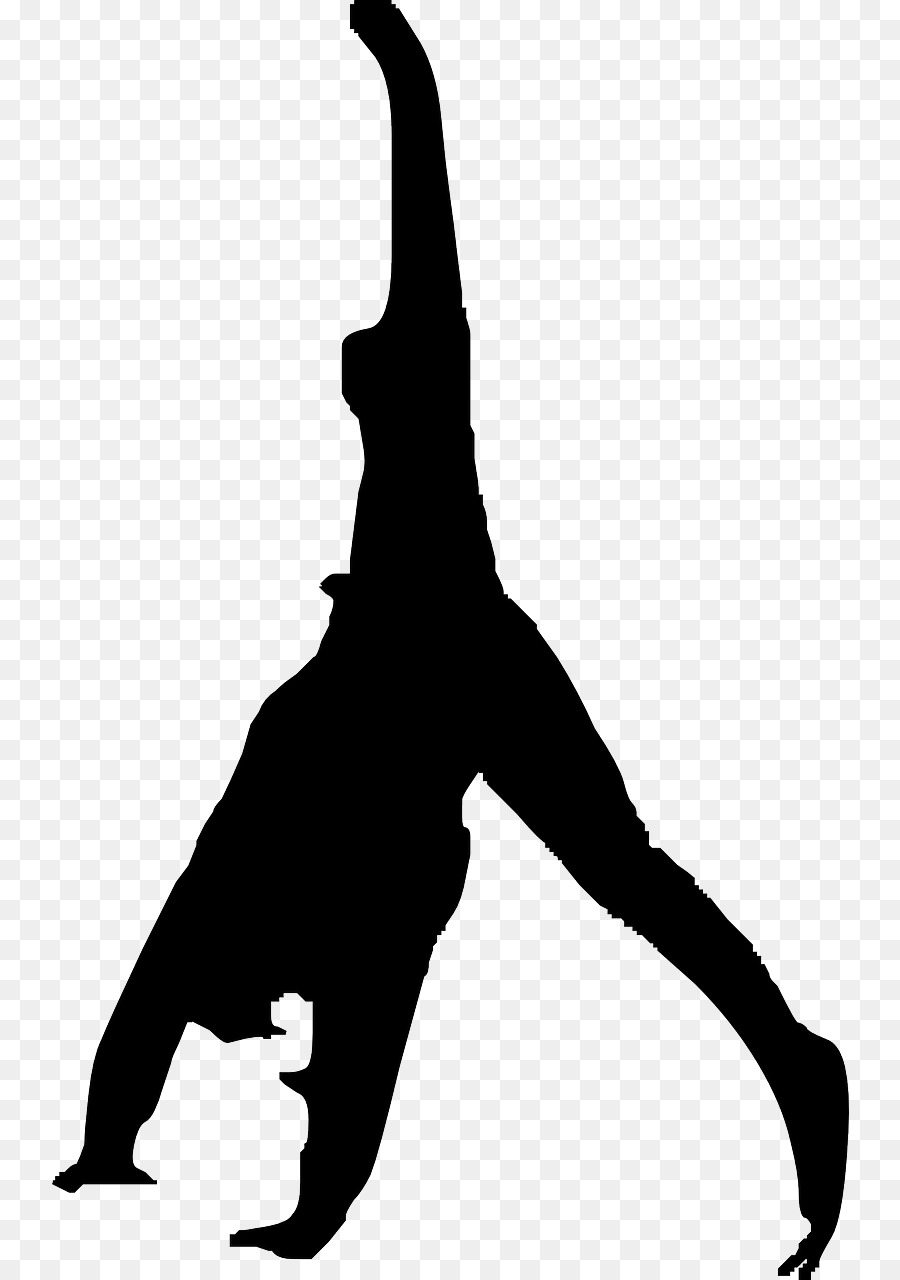 Flip Gymnastics Clip art - gymnastics png download - 798*1280 - Free Transparent Flip png Download.