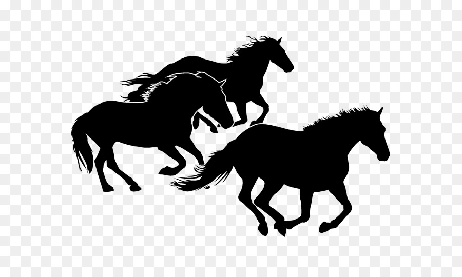 Horseshoe Equestrian Pony Silhouette - horse png download - 700*525 - Free Transparent Horse png Download.