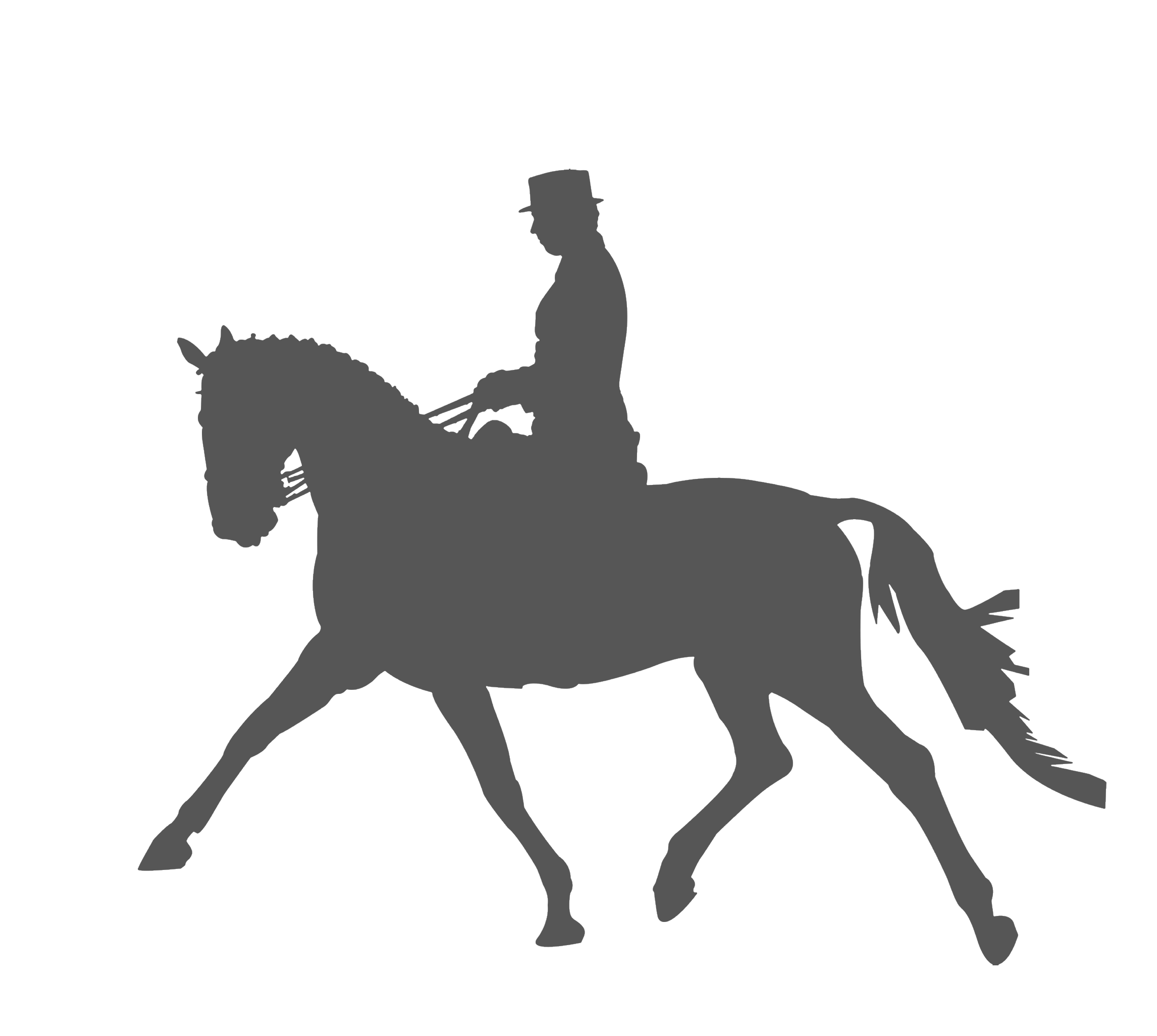 Horse Equestrianism Dressage Silhouette Clip Art Horse Riding Sketch Png Download 2292 2053 Free Transparent Horse Png Download Clip Art Library