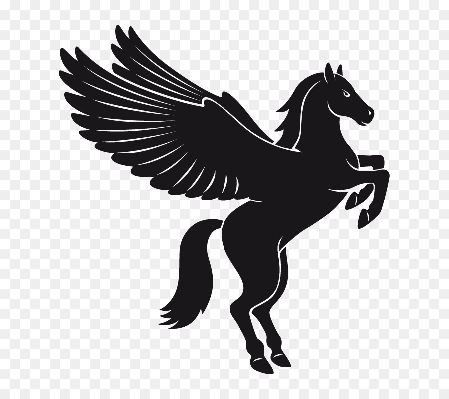 Pegasus Flying horses - pegasus clipart png download - 800*800 - Free Transparent Pegasus png Download.
