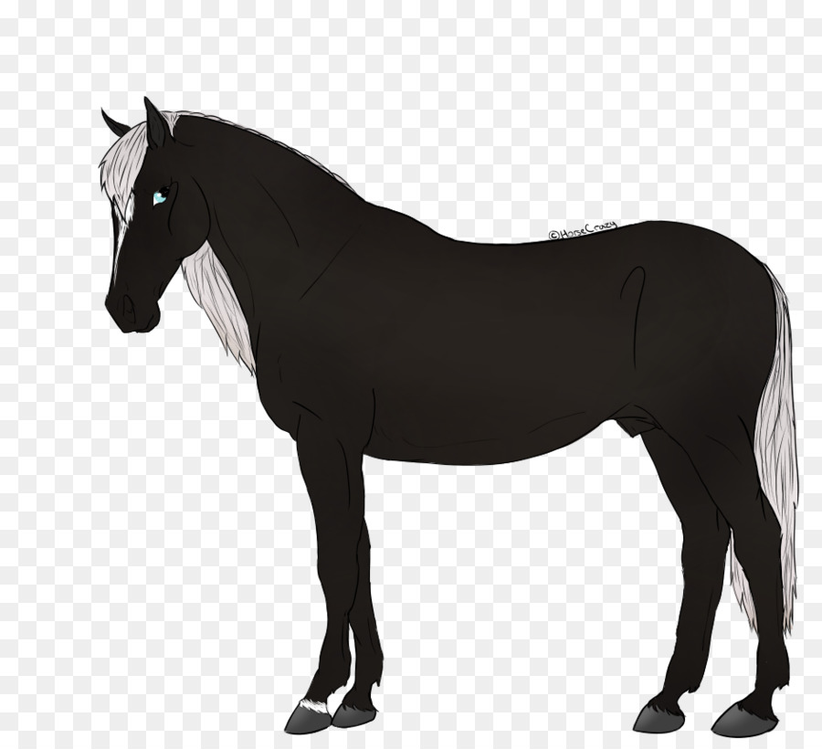 Thoroughbred Horses Drawing Equestrian Stallion - Silhouette png download - 942*848 - Free Transparent Thoroughbred png Download.