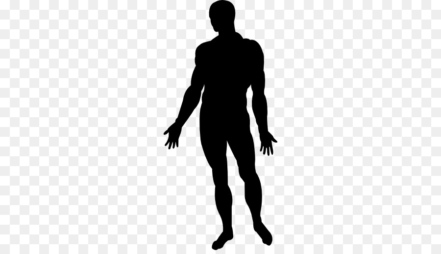 Silhouette Person - human body png download - 512*512 - Free Transparent  png Download.