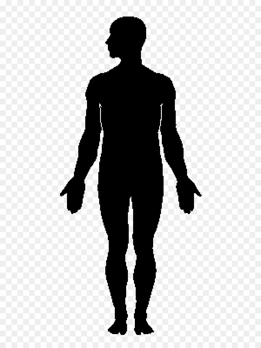 Human body Silhouette Clip art - Silhouette png download - 624*1200 - Free Transparent Human Body png Download.