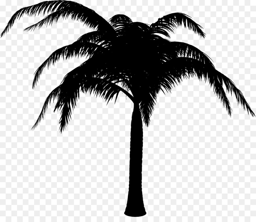 Palm trees Black & White - M Silhouette -  png download - 1200*1016 - Free Transparent Palm Trees png Download.