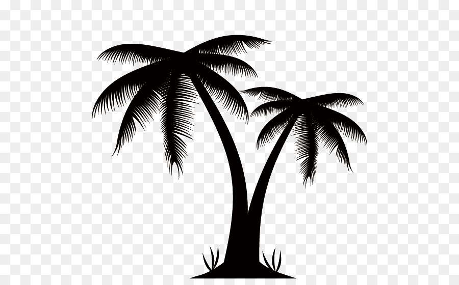 Arecaceae Euclidean vector Stock photography Clip art - Silhouettes of palm trees png download - 548*548 - Free Transparent Arecaceae png Download.