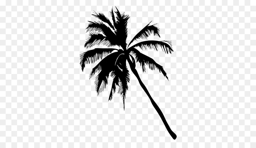 Arecaceae Silhouette - palm tree silhouette png download - 512*512 - Free Transparent Arecaceae png Download.