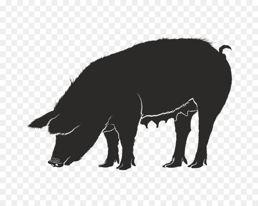 Domestic pig Guinea pig Silhouette Clip art - Silhouette png download - 720*720 - Free Transparent Domestic Pig png Download.