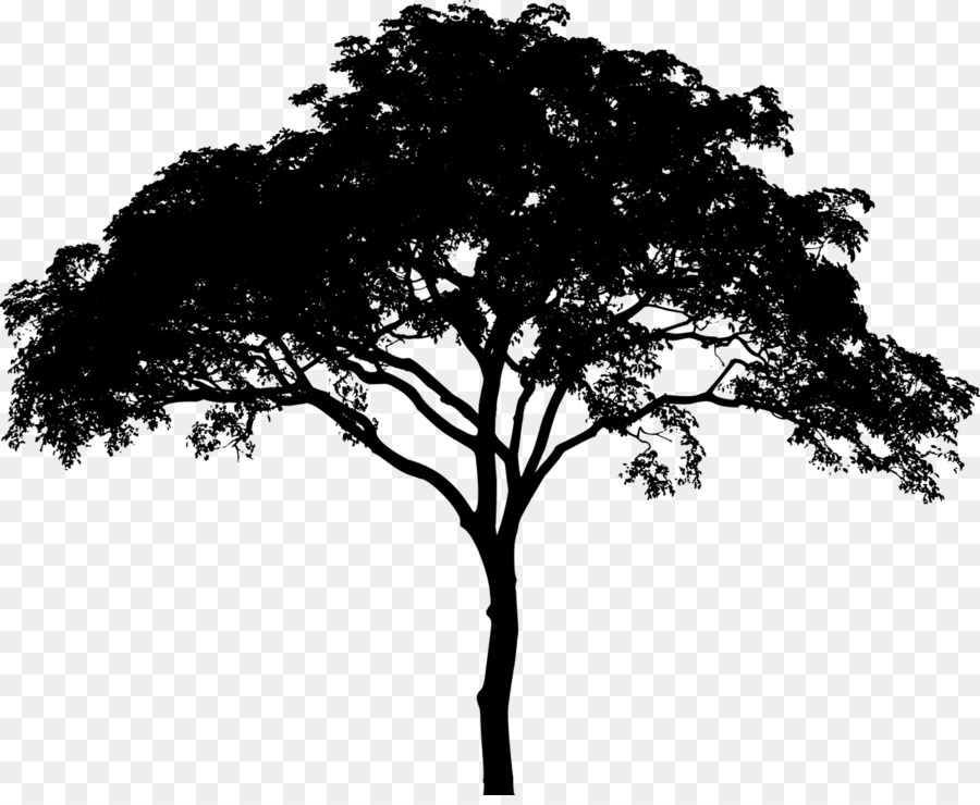 Tree Silhouette - tree png download - 1280*1040 - Free Transparent Tree png Download.