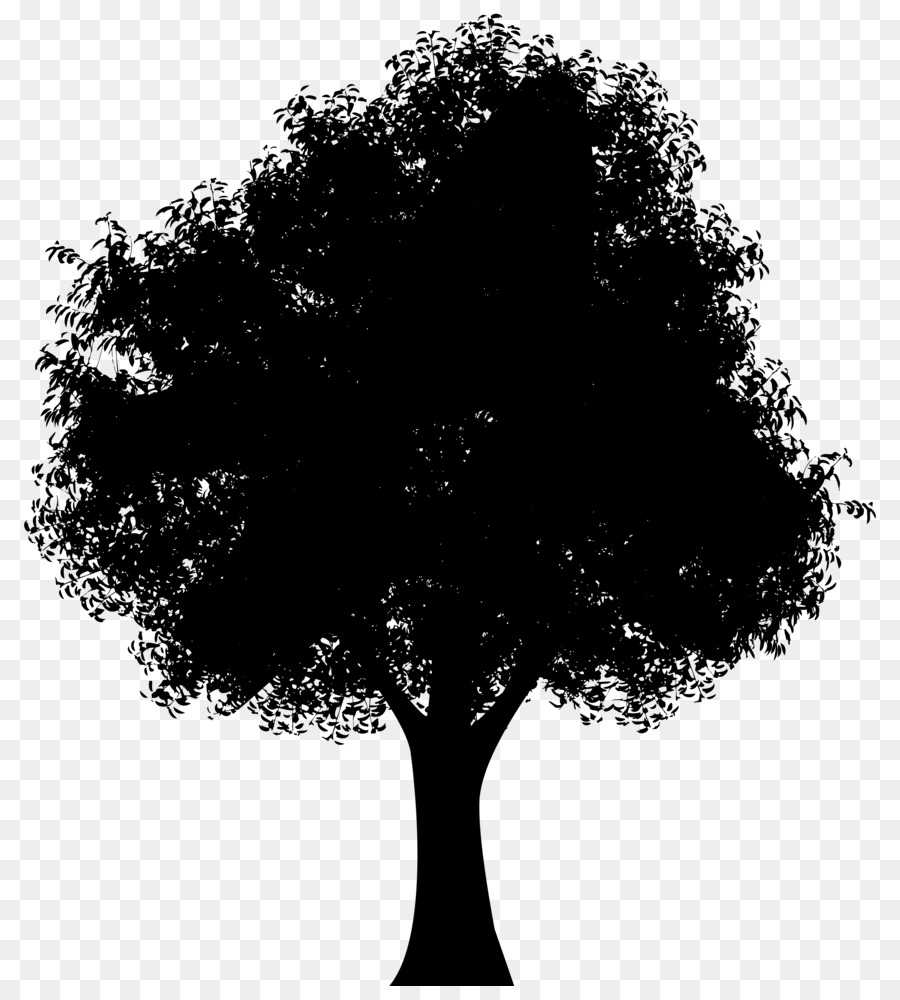 Tree Oak Silhouette Clip art - oak png download - 7301*8000 - Free Transparent Tree png Download.