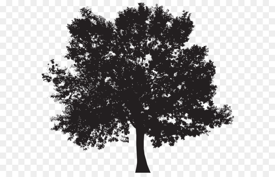 Silhouette Tree Clip art - Tree Silhouette PNG Clip Art png download - 8000*6965 - Free Transparent Tree png Download.