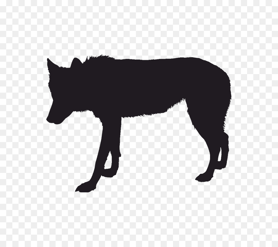 Gray wolf Silhouette Black wolf Drawing - Silhouette png download - 800*800 - Free Transparent Gray Wolf png Download.