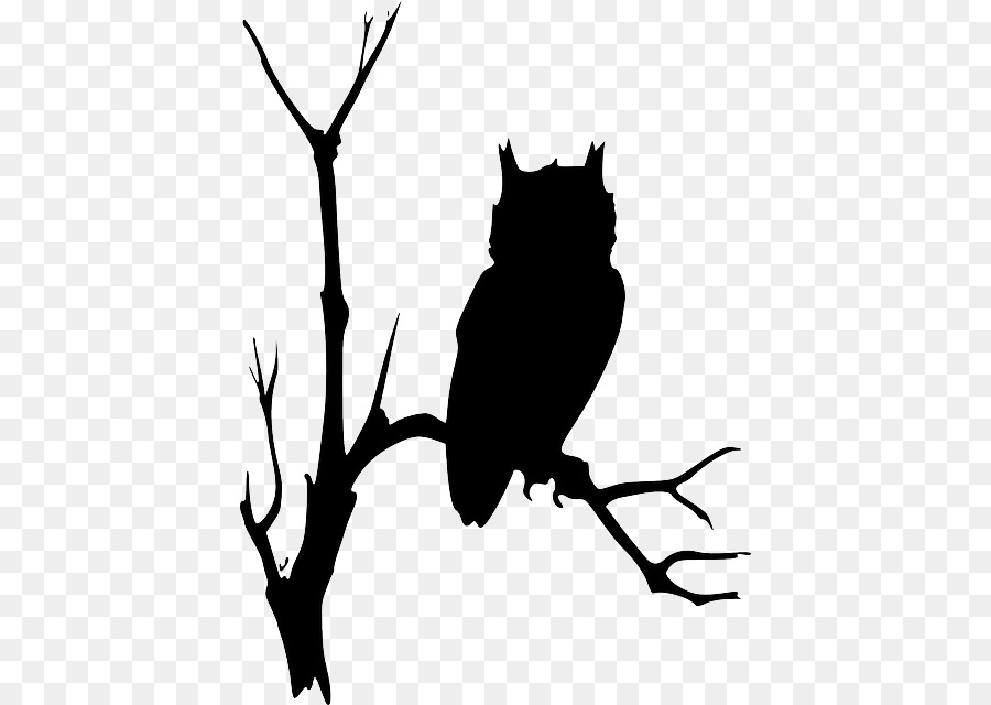 Owl Clip art Vector graphics Branch Silhouette - braches background png download - 464*640 - Free Transparent Owl png Download.