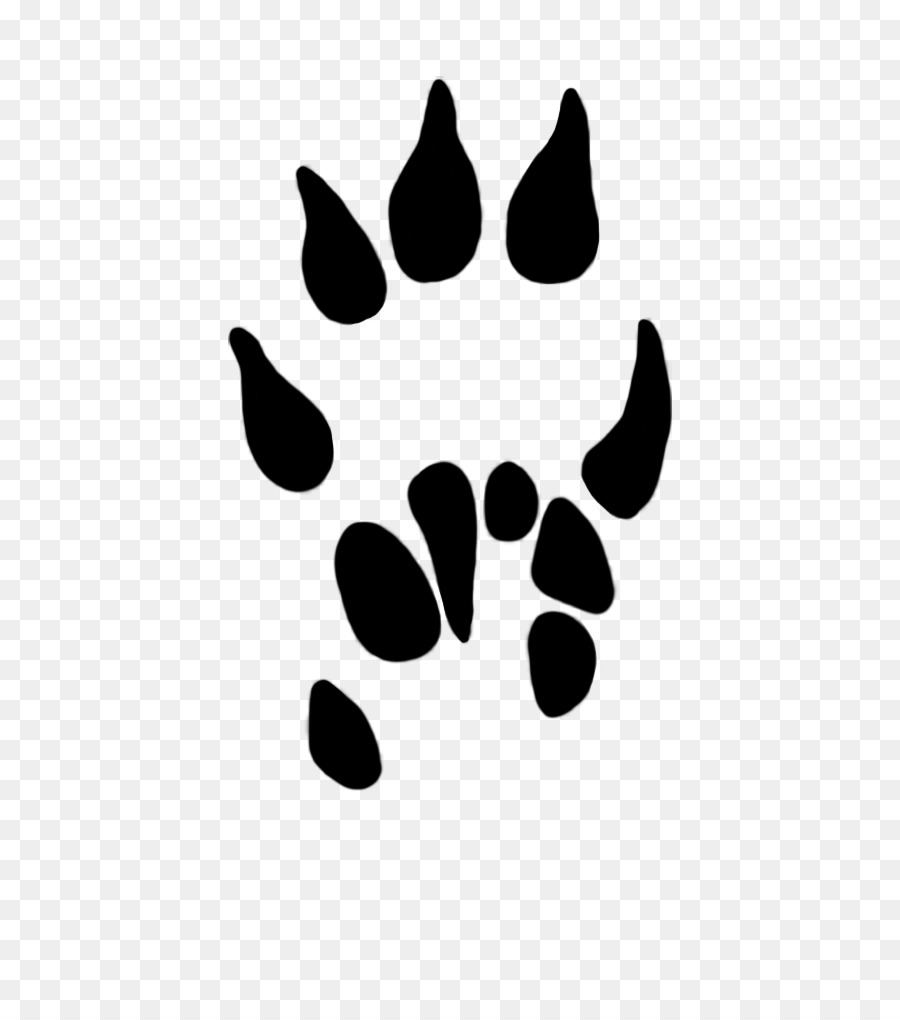 Paw Dog Common shrew Clip art - animal paw prints png download - 502*1004 - Free Transparent Paw png Download.