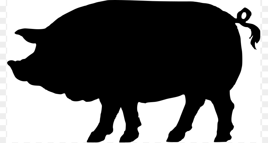 Domestic pig Silhouette Clip art - Pig Silhouette Images png download - 851*479 - Free Transparent Domestic Pig png Download.