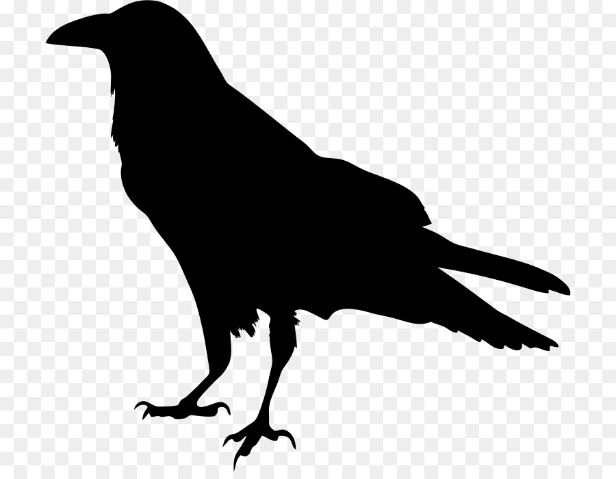 The Raven Silhouette Drawing Clip art - the raven png download - 768*690 - Free Transparent Raven png Download.