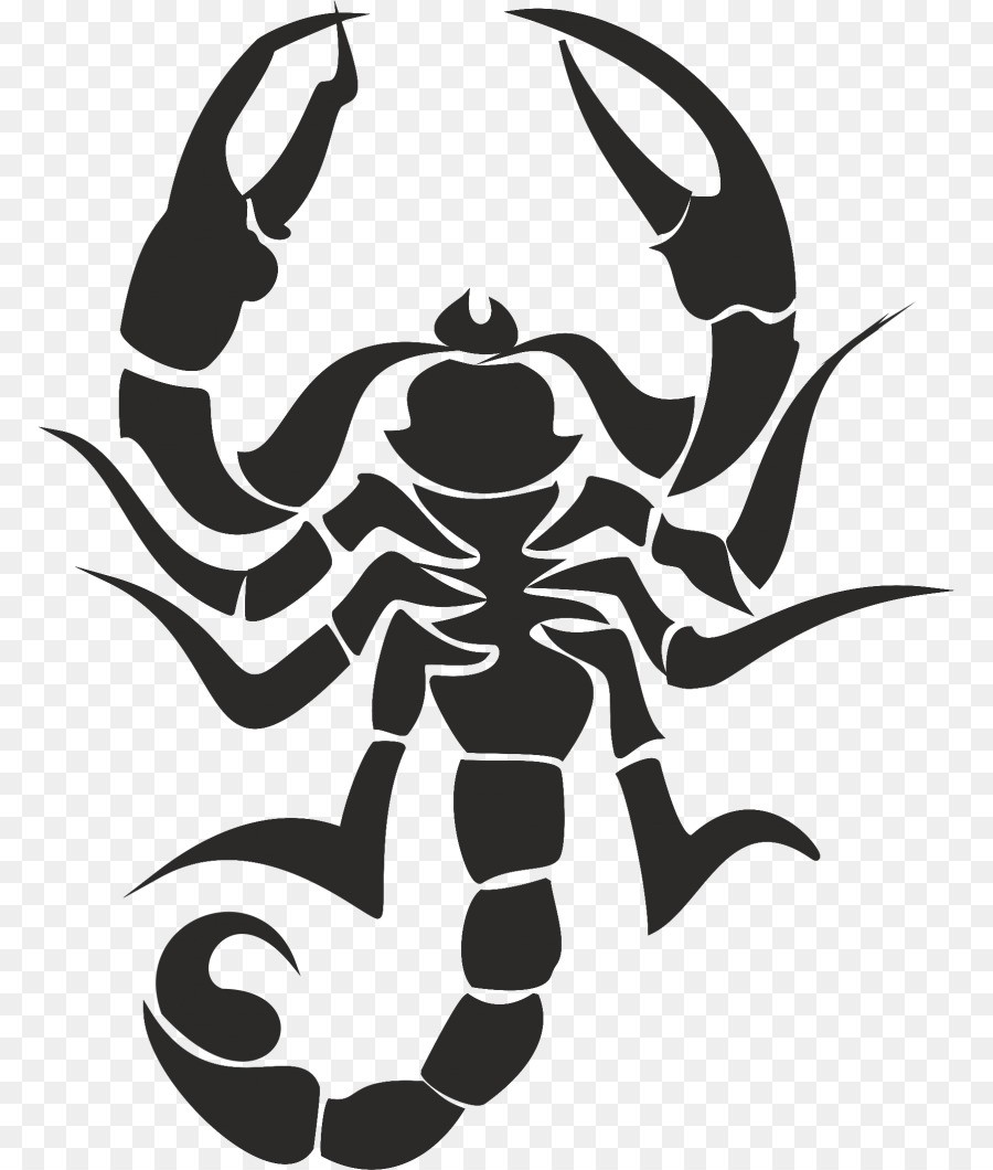 Scorpion Clip art - scorpions png download - 830*1060 - Free Transparent Scorpion png Download.