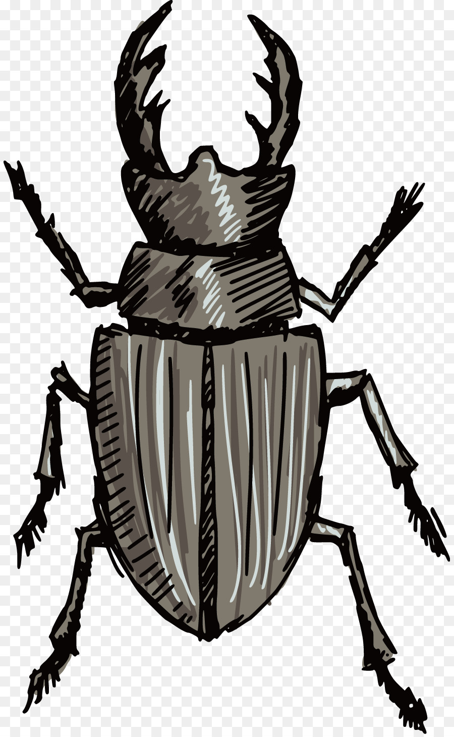 Volkswagen Beetle Stag beetle Silhouette - Scorpion Vector png download - 885*1454 - Free Transparent Beetle png Download.