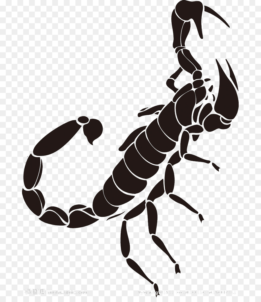 Scorpion Tattoo - Black scorpion tattoo pattern png download - 747*1024 - Free Transparent Scorpion png Download.