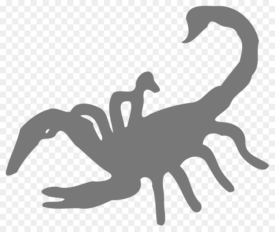 Scorpions Logo - scorpions png download - 2400*2020 - Free Transparent Scorpion png Download.